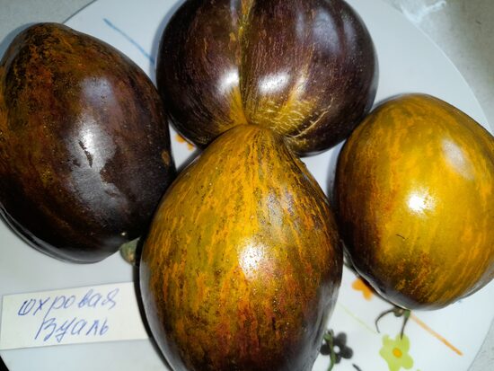 Охровая вуаль